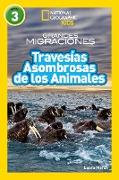 National Geographic Reader: Great Migration Amazing Animal Journeys (Spanish) (National Geographic Readers)